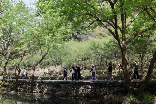 Happy Team Building i Zhong Yandang Mountain